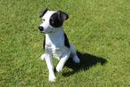 Een JACK RUSSELL-hond van natuurlijke grootte, Tuin en Terras, Ophalen, Nieuw, Kunststof, Dierenbeeld