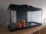 Aquarium Ciano 60 litres, Animaux & Accessoires, Éclairage ou Chauffage, Enlèvement, Utilisé