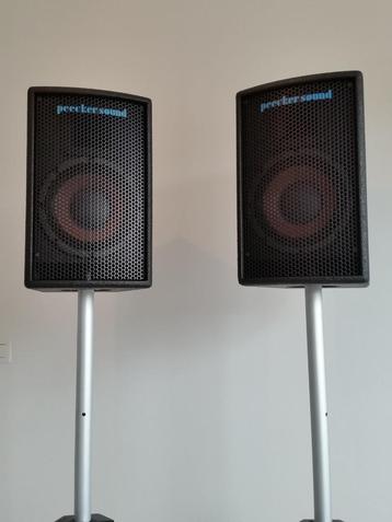 Luidsprekerboxen Peecker Sound A150 beschikbaar voor biedingen
