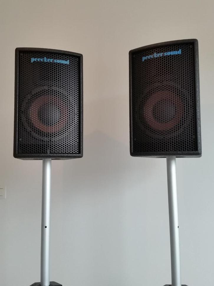 Luidsprekerboxen Peecker Sound A150, Audio, Tv en Foto, Luidsprekerboxen, Nieuw, Front, Rear of Stereo speakers, 120 watt of meer