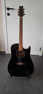 Guitare electro-acoustique folk, Muziek en Instrumenten, Snaarinstrumenten | Gitaren | Bas, Ophalen, Gebruikt, Akoestisch