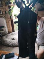 Skibroek, Kleding | Heren, Wintersportkleding, Ophalen of Verzenden