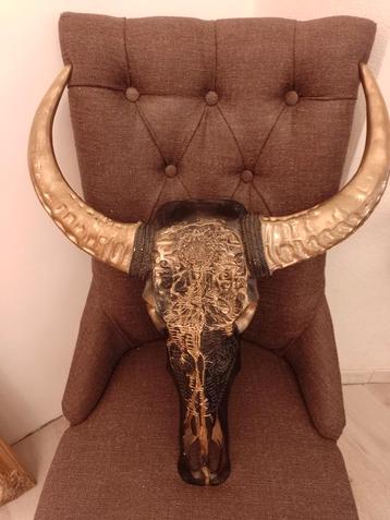 Bull skull beschikbaar voor biedingen