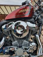 Harley Davidson seventy two, Motos, Entreprise