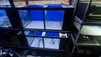 Aquariums, Dieren en Toebehoren, Ophalen, Gebruikt, Leeg aquarium