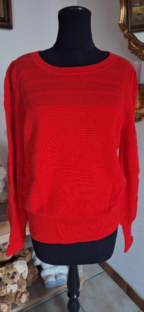 Caroline Biss trui maat 40 - nieuw, Kleding | Dames, Truien en Vesten, Nieuw, Maat 38/40 (M), Rood, Verzenden
