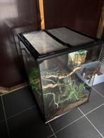 Terrarium, Dieren en Toebehoren, Ophalen, Zo goed als nieuw, Terrarium of Paludarium
