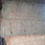 Hooi te koop, Dieren en Toebehoren, Ophalen