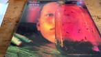 lp Alice In Chains - Jar Of Flies, Ophalen of Verzenden, 12 inch, Poprock, Nieuw in verpakking
