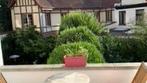 Appartement à louer à Etterbeek, 2 chambres, 125 m², Appartement, 2 kamers