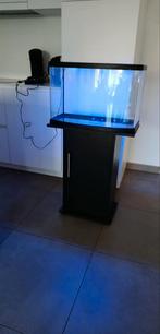 Aquarium fluval vista, Animaux & Accessoires, Poissons | Aquariums & Accessoires, Enlèvement