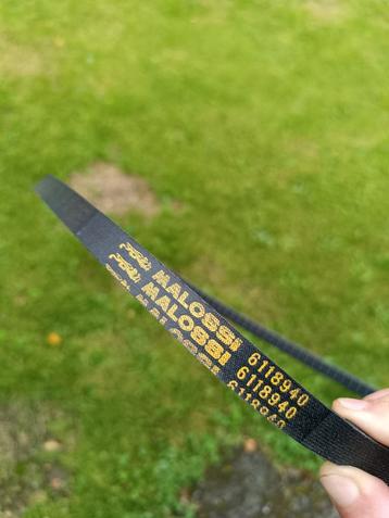 Wallaroo - Malossi v-snaar beschikbaar voor biedingen