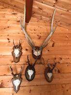 5 stuks geweien, Huis en Inrichting, Ophalen of Verzenden, Zo goed als nieuw