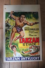 filmaffiche Tarzan Escapes Johnny Weissmuller filmposter, Verzamelen, Posters, Rechthoekig Staand, Ophalen of Verzenden, Zo goed als nieuw