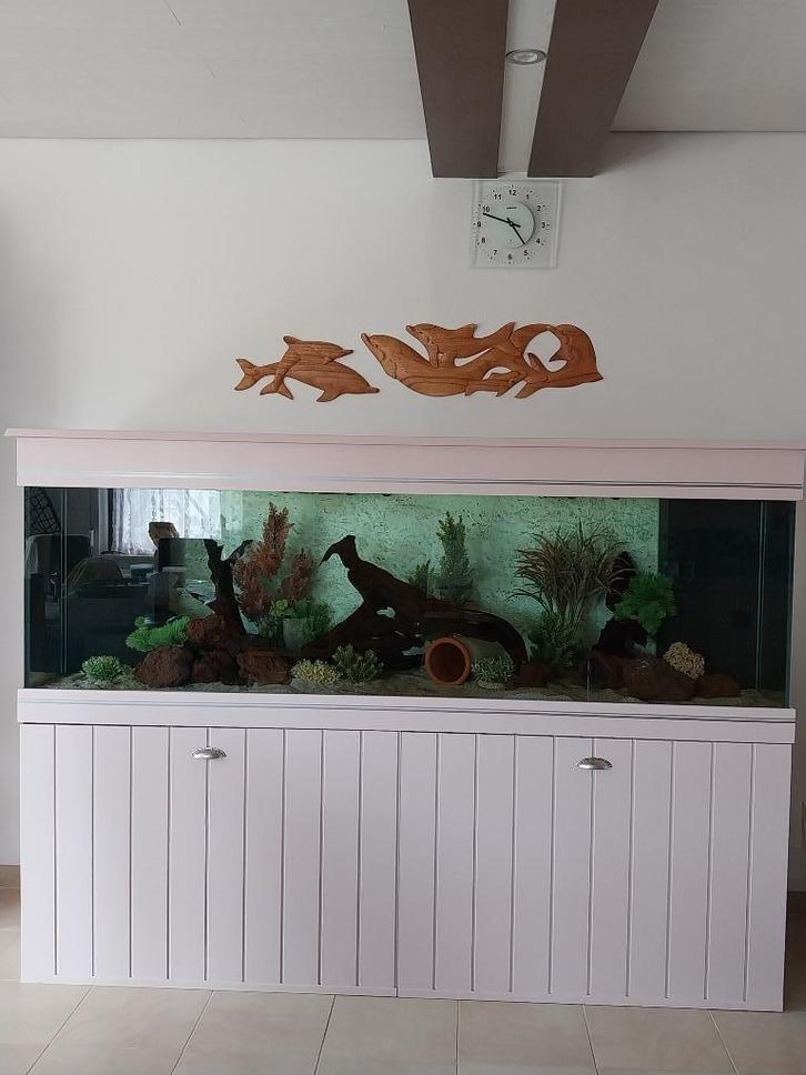 grand aquarium a vendre de 840 litres avec meuble, Dieren en Toebehoren, Vissen | Aquaria en Toebehoren, Zo goed als nieuw, Gevuld zoetwateraquarium