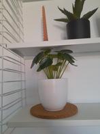 Kunstplanten, Huis en Inrichting, Ophalen, Nieuw