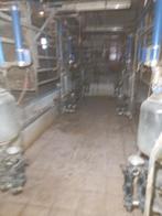 Melkmachine, Meerdere dieren