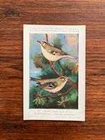 Vogels der Belgische Fauna Nr. 19 gewoon goudhaantje, Ophalen of Verzenden, 1940 tot 1960, Ongelopen, Vogel