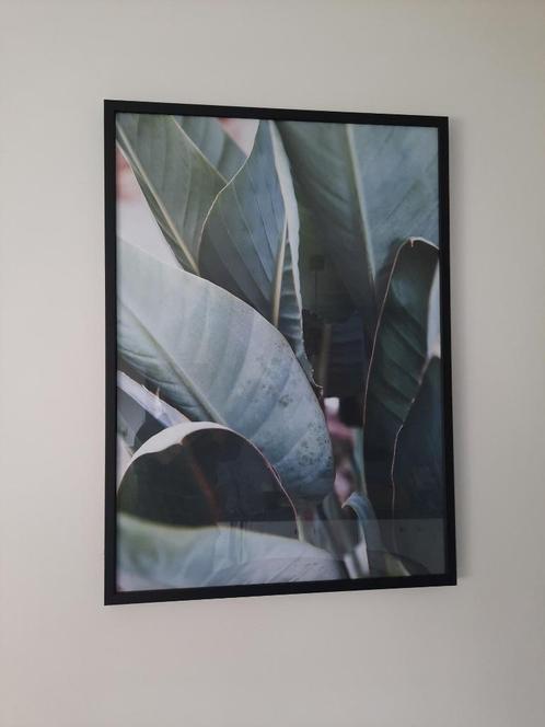 Prachtig schilderij achter glas "Strelitzia Leaf", Huis en Inrichting, Woonaccessoires | Schilderijen, Tekeningen en Foto's, Nieuw