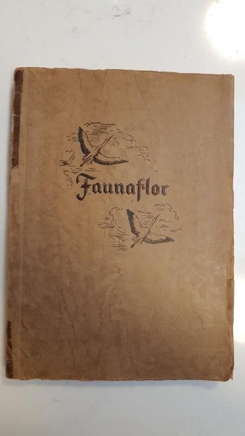 Livre Faunaflor, Livres, Livres d'images & Albums d'images, Utilisé, Livre d'images, Enlèvement ou Envoi