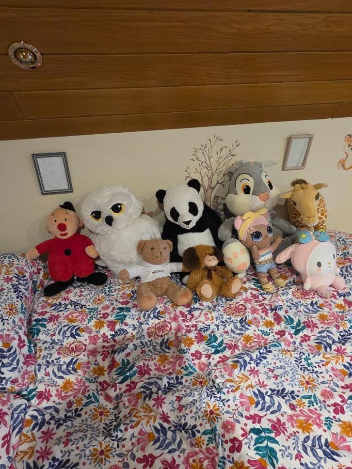 PLUCHEN DIEREN VERZAMELING NIEUW, Kinderen en Baby's, Speelgoed | Knuffels en Pluche, Zo goed als nieuw, Overige typen, Ophalen