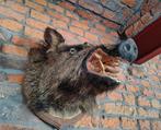 Taxidermie bij dieren, Antiek en Kunst, Ophalen