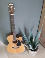 Blueridge akoestische gitaar, Ophalen, Gebruikt