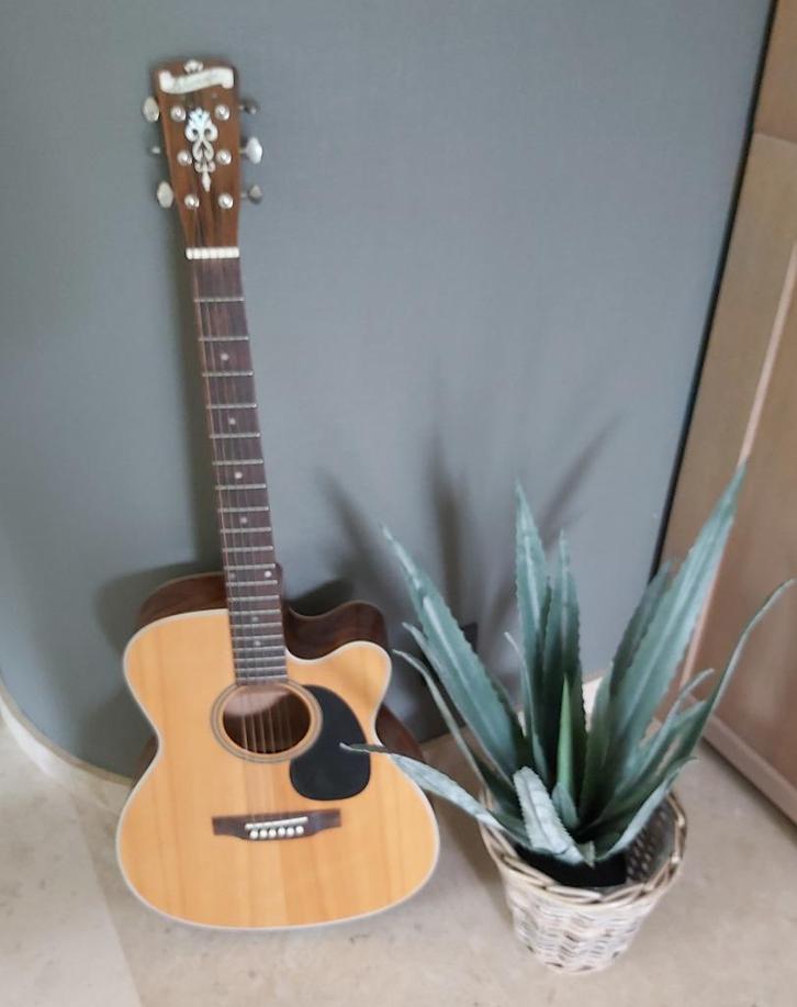 Blueridge akoestische gitaar, Muziek en Instrumenten, Snaarinstrumenten | Gitaren | Akoestisch, Gebruikt, Ophalen