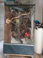 Terrarium 1m30 x 75cm x 60cm, Ophalen, Zo goed als nieuw