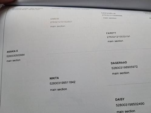 Chique jaarling merrie uit goede stam, Dieren en Toebehoren, Paarden, Merrie