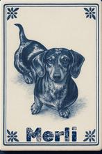 Prachtige dwergteckel pups, Dieren en Toebehoren, België, CDV (hondenziekte), 8 tot 15 weken, Korthaar
