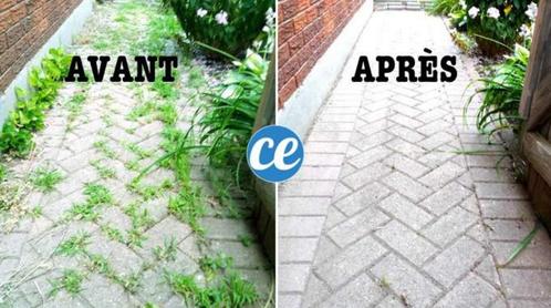 Désherbant Roundup. Région Goutroux Charleroi, Tuin en Terras, Bestrijdingsmiddelen, Nieuw, Onkruidbestrijding, Ophalen of Verzenden