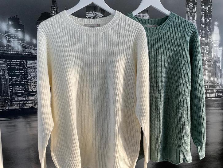 NIEUW - 2 prachtige truien wit groen - maat 46/48, Vêtements | Femmes, Pulls & Gilets, Neuf, Taille 46/48 (XL) ou plus grande