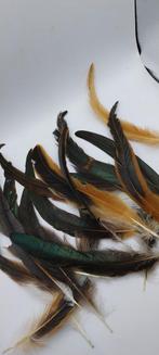 Plumes de queue de coq, Collections