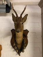 brocante allerlei, Antiquités & Art, Enlèvement ou Envoi