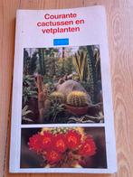 Courante cactussen en vetplanten, Boeken, Zo goed als nieuw, Kamerplanten