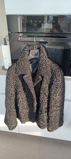 Kledij jassen, Kleding | Dames, Ophalen, Gedragen, Maat 38/40 (M)