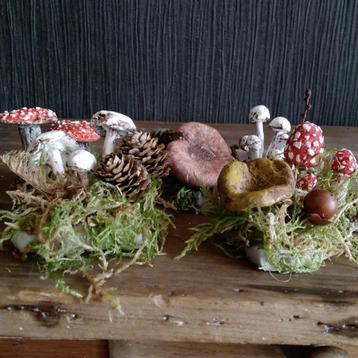 Prachtige botanische paddenstoelen  beschikbaar voor biedingen
