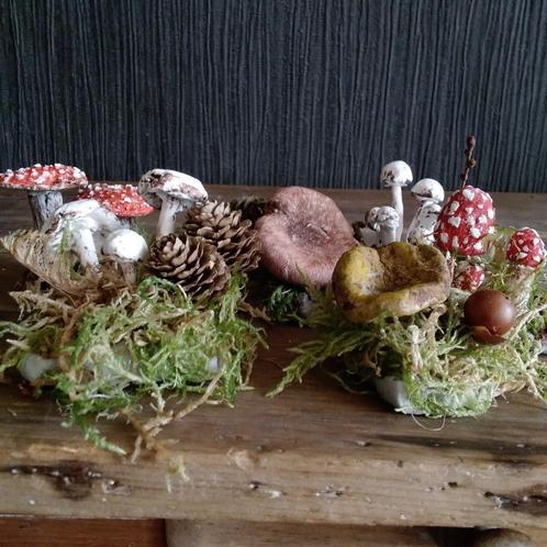 Prachtige botanische paddenstoelen, Antiek en Kunst, Curiosa en Brocante, Verzenden