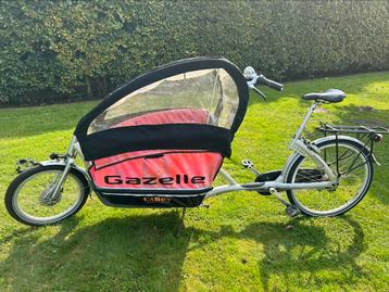 Gazelle cabby disponible aux enchères