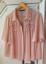 Prachtige blouse X.L Zara., Kleding | Dames, Zara, Ophalen of Verzenden, Zo goed als nieuw, Blouse of Tuniek