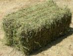 cherche faneuse 4 toupie, Ophalen, Akkerbouw, Overige typen