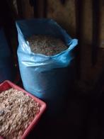 houtkrullen, Dieren en Toebehoren, Stalling en Weidegang