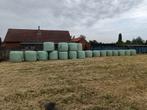 Hooi tekoop, Dieren en Toebehoren, Paarden