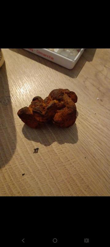 Coprolithe de dinosaures ou de reptiles préhistorique disponible aux enchères