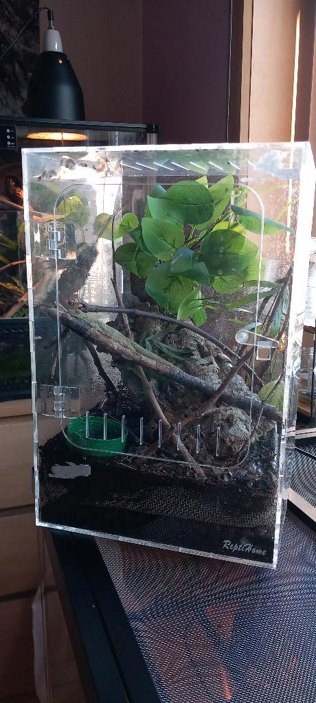 Repti Home Acryl Terrarium 20-20-30, Dieren en Toebehoren, Reptielen en Amfibieën | Toebehoren, Gebruikt, Terrarium of Paludarium