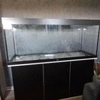 Juwel rio 450, Ophalen, Gebruikt, Leeg aquarium