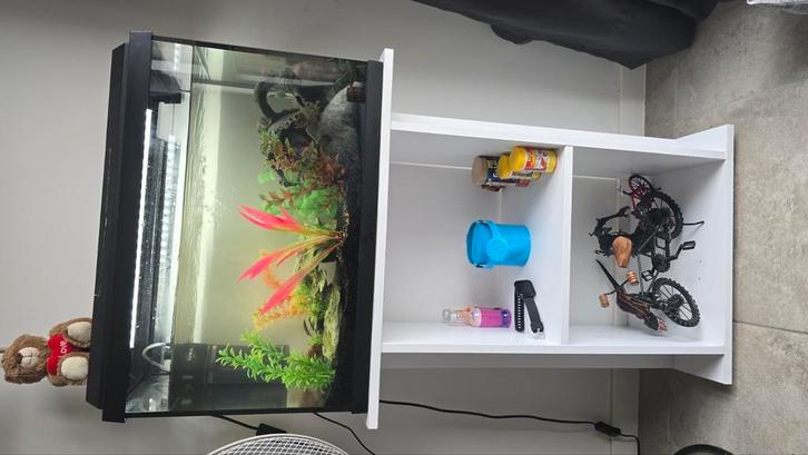 Aquarium, Dieren en Toebehoren, Vissen | Aquaria en Toebehoren, Zo goed als nieuw, Ophalen