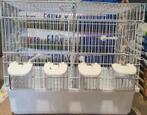 Witte broedkooi draadkooi stapelbaar 45cm, Dieren en Toebehoren, Ophalen