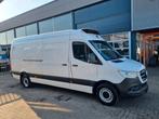 Mercedes-Benz Sprinter 316 CDI Maxi Koelwagen Xarios 350 MT, Autos, Achat, Entreprise, Diesel, Automatique